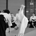Paris Aikido Course