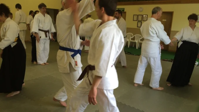 Diabetes en Ki Aikido