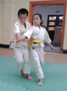 Junior Aikido