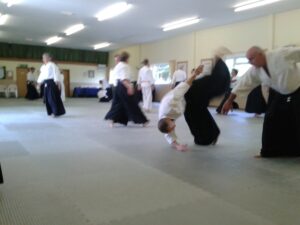 2019 Aikido Spring Seminar