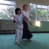 Ki Aikido Getuigenis