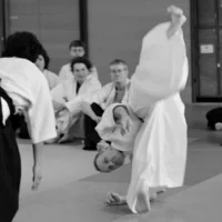 Area Course Paris
