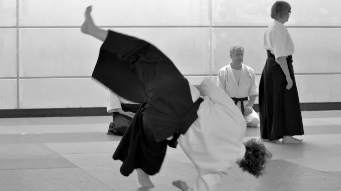 January 2023 Aikido Update