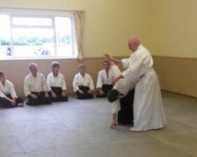 2017 Aikido Spring Seminar