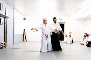 2017 Toronto Aikido Course