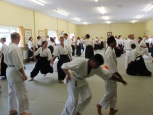 Gratitude within Aikido