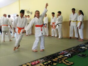 Junior Aikido Experience
