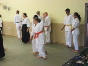 Junior Aikido Experience