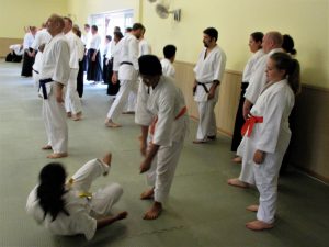 Junior Aikido Experience