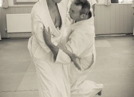 2017 5e-6e Dan-cursus