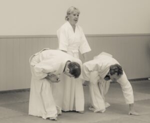 March 2018 Aikido Update