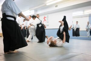 June 2018 Aikido Update