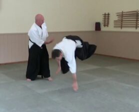Aikido is for Everyone