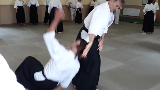 Aikido in Real Life
