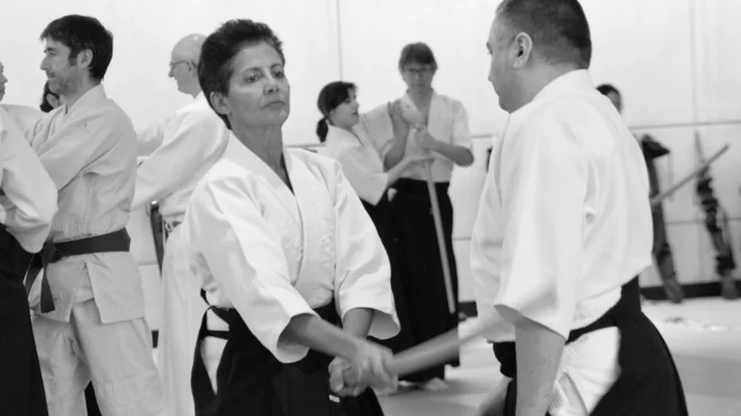 November 2018 Aikido Update