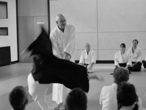 October 2018 Aikido Update