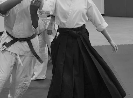 June 2019 Aikido Update