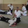 Dankbaarheid binnen Aikido