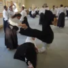 De weg van Aikido