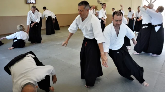 February 2020 Aikido Update
