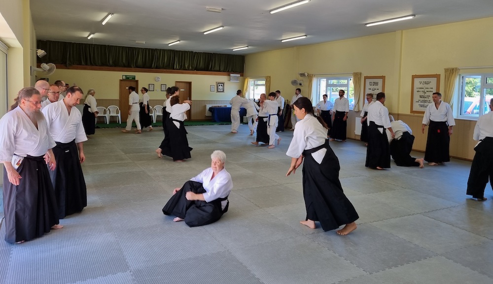 2023 Aikido Summer Seminar Pictures