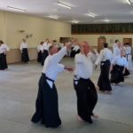 2023 Aikido Summer Seminar Pictures