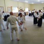 2023 Aikido Summer Seminar Pictures