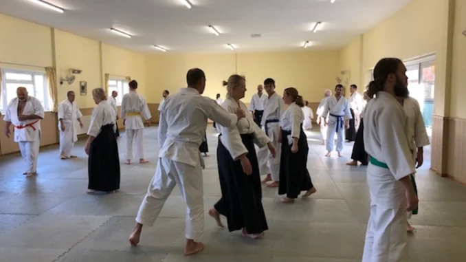 Juli 2025 Aikido-update