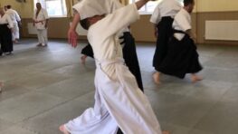 September 2024 Aikido Update