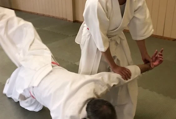 March 2025 Aikido Update