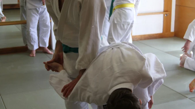 July 2024 Aikido Update