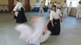 August 2024 Aikido Update