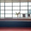 The Dojo as a “Third Place”