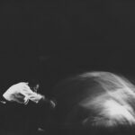 British Aikido History