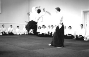 February 2018 Aikido Update